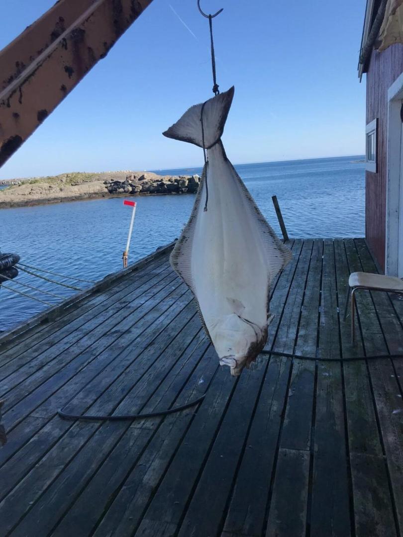Fjordview Ryten 2 Retreat Sund  Eksteriør billede